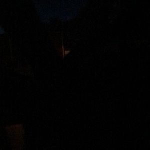 Meet your Posher, Donnie